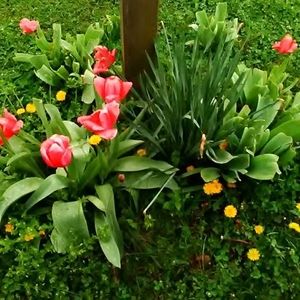 Meet your Posher, Joan